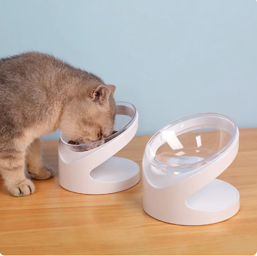 Cat/Dog bowl